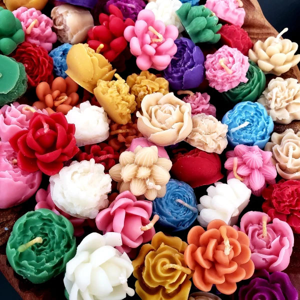 Mini Flores Suculentas's foto | Chely |  BizneCubano